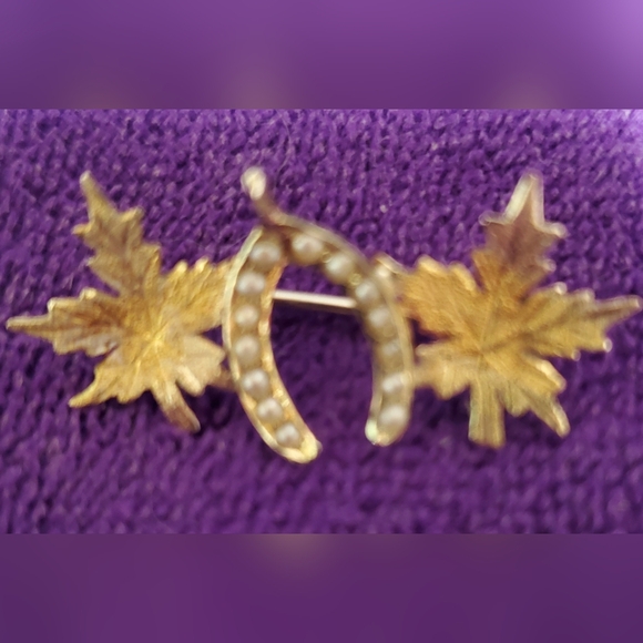 Victorian 14kg Brooch - Picture 2 of 9